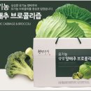 무주명품천마