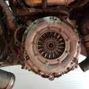 뉴그린카센타 이미지