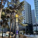 라밥(신길점) | 영등포역 혼밥 혼밥 하기 좋은 신길역 분식 맛집 라밥 LABAB