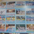 국가대표 엘리트 태권도장 이미지