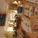 동탄이화유치원 이미지