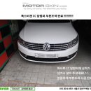 모터스킨