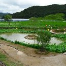 부엉마을 이미지