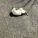 서창수산