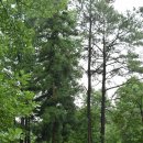 계명유치원 이미지