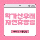 학가산우래자연휴양림 | 예천 학가산우래 자연휴양림, 사계절 즐길 수 있는 힐링 여행지 가이드