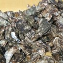 수산마당 이미지