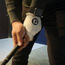 피니쉬골프클럽 이미지