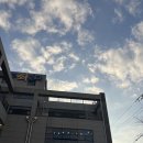 한번 가면 단골되는 진해 현지인 맛집 2곳을 소개합니다 (진해 동부회센터 / 속천첫집)