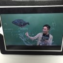 통상수교 거부 정책의 원인 이미지