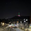 마켓컬리 하트티라미수 오리지널 배달 후기 | 이태원 호프집 | 나폴리4부작 책 추천