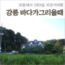 강릉펜션 경포대 바다가그리울때 펜션 낭만가득 자전거여행 후기