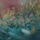 농업회사법인 주식회사 제일 이미지