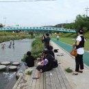 강남합기도 이미지