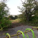 남교농장 이미지