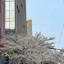 고깃집 왕고을 | [맛집리뷰]왕십리역 콜키지프리 맛집 ‘고깃집왕고을’, 내가 원하는 술 + 개맛있는 고기 = 극락..⭐️