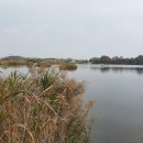 양당매점