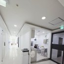 마포-성산-마포-4368 이미지