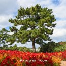 전기차충전소_서부농업기술센터 이미지