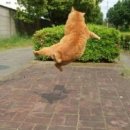 도수안경원 이미지