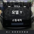 양산 테슬라 전문 스팀세차 구토 오염 제거 작업 테슬라 모델 Y
