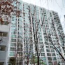 삼성동-17 이미지