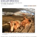 행복한 한우농장 이미지