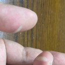 아이뜰관광농원 이미지