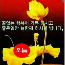 대가참숯불구이 이미지