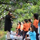 여주-1016 이미지