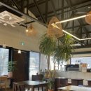 신은경로당 | [주간일기] 설날의 기록, 서울 전시추천, 괴테는 모든 것을 말했다, 독서모임