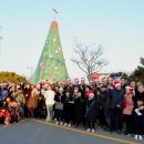 영암군 공설운동장 이미지