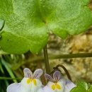 금창초교 이미지