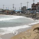 백사장해변 이미지