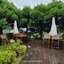 오늘손만두 이미지