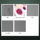 유경 파트너스 이미지