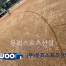 신북초등학교 이미지