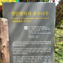 천안 광덕산 등산코스 광덕사~정상 최단코스 (ft. 뒷동산같은 100대명산)