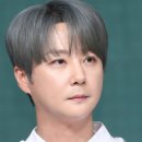 법인사과컴퍼니 이미지