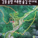 솔향수목원(솔숲광장) 이미지