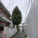 상도늘보리 신길1호점 | 노량진6구역 임장 (재개발 관리처분인가)