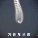 비틀비틀 이미지