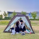 금산신문주식회사 | 오! 월!은 푸르구우나하아 ヽ(° ͜>°)ﾉ*҉