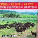 도담 염소농장 이미지
