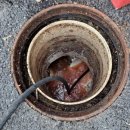 조양로33번길 이미지