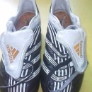 엡솔루트 이미지