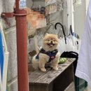남동23 | [인천 남동] 호카스콘샵 | 호카스콘샵 주차 | 호카스콘샵 소금빵 | 내돈내산 | 솔직후기