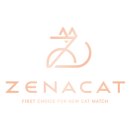 부산고양이분양제나캣 사상점 이미지