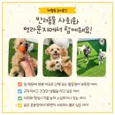 펫라운지 애견유치원 애견호텔 애견미용 이미지