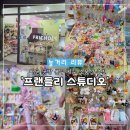 큐티펫 | [배곧 공방] 볼꾸 키쿠 프랜들리 스튜디오 소품샵 내돈내산 후기